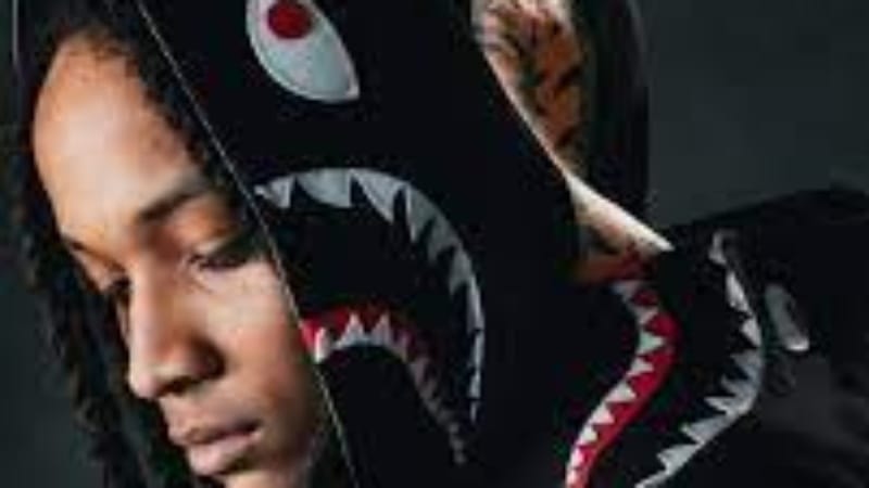 The BAPE Hoodie: A Complete Guide to the Streetwear Icon